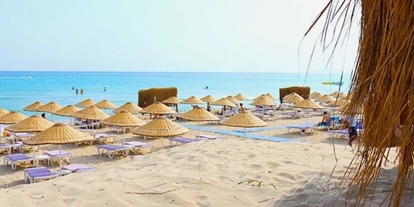 Dharma Beach Club